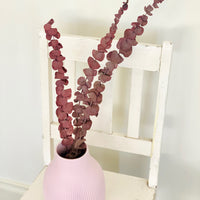 Preserved Eucalyptus Slim | preserved flowers