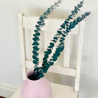 Preserved Eucalyptus Slim | preserved flowers