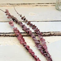 Preserved Eucalyptus Slim | preserved flowers