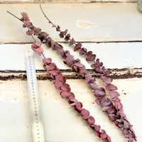 Preserved Eucalyptus Slim | preserved flowers