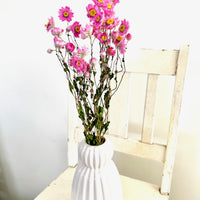 天然干燥的 Rhodanthe 永生雏菊花束