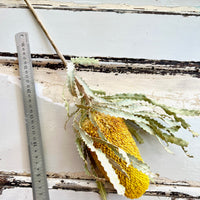 Naturally Dried Banksia & King Protea & Protea - Australian Native