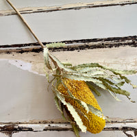 Naturally Dried Banksia & King Protea & Protea - Australian Native