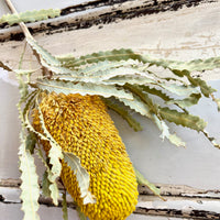 Naturally Dried Banksia & King Protea & Protea - Australian Native