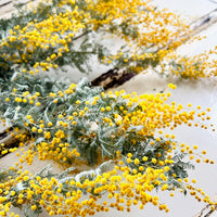 Naturally Dried Wattle / Mimosa / Acacia Flowers - Australian Native - natural yellow