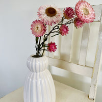 Naturally Dried Strawflower Daisy flower bunch - Helichrysum / Everlasting / Paper Daisy - stems / heads