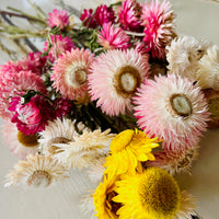 Naturally Dried Strawflower Daisy flower bunch - Helichrysum / Everlasting / Paper Daisy - stems / heads