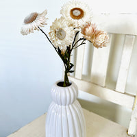 Naturally Dried Strawflower Daisy flower bunch - Helichrysum / Everlasting / Paper Daisy - stems / heads
