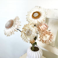 Naturally Dried Strawflower Daisy flower bunch - Helichrysum / Everlasting / Paper Daisy - stems / heads