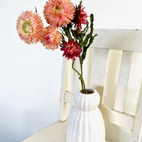 Naturally Dried Strawflower Daisy flower bunch - Helichrysum / Everlasting / Paper Daisy - stems / heads