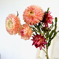 Naturally Dried Strawflower Daisy flower bunch - Helichrysum / Everlasting / Paper Daisy - stems / heads