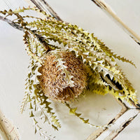 Naturally Dried Banksia & King Protea & Protea - Australian Native