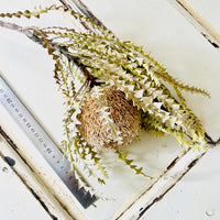 Naturally Dried Banksia & King Protea & Protea - Australian Native