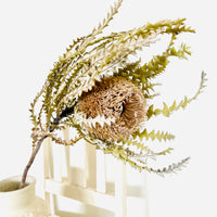 Naturally Dried Banksia & King Protea & Protea - Australian Native