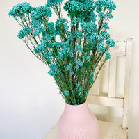 保鲜米花
