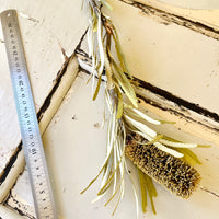 Naturally Dried Banksia & King Protea & Protea - Australian Native