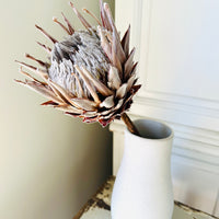 Naturally Dried Banksia & King Protea & Protea - Australian Native