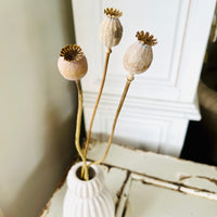 Naturally Dried Poppy Pods / Papaver - natural brown