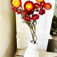 Naturally Dried Strawflower Daisy flower bunch - Helichrysum / Everlasting / Paper Daisy - stems / heads