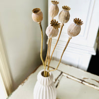 Naturally Dried Poppy Pods / Papaver - natural brown