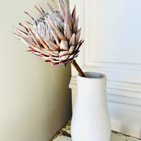 Naturally Dried Banksia & King Protea & Protea - Australian Native