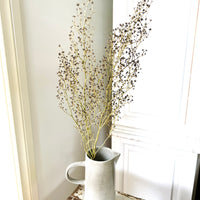 Naturally Dried Strillingia - without pods
