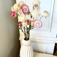 Naturally Dried Strawflower Daisy flower bunch - Helichrysum / Everlasting / Paper Daisy - stems / heads