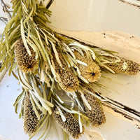 天然干燥的班克西亚和帝王花以及帝王花 - 澳大利亚本土