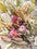 Everlasting / Dried / Preserved flowers STEM Collection
