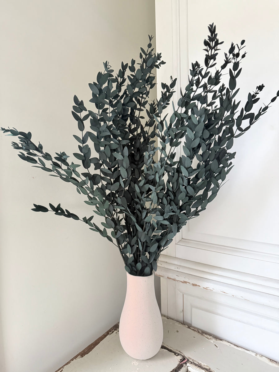 Preserved Eucalyptus / Gum