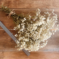 Everlasting Preserved Baby's Breath Bouquet [Mini/SM/ML]