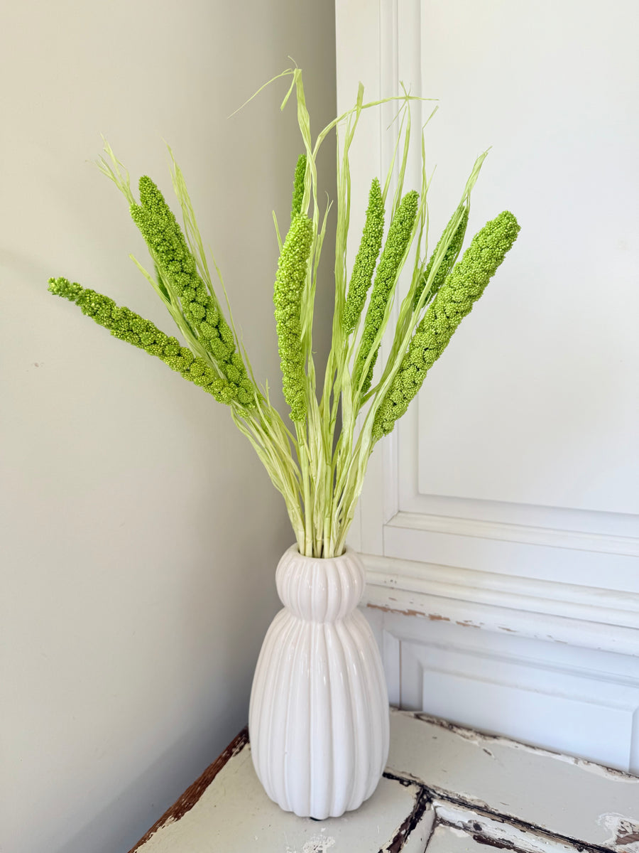 Dried Setaria / Foxtail Millet