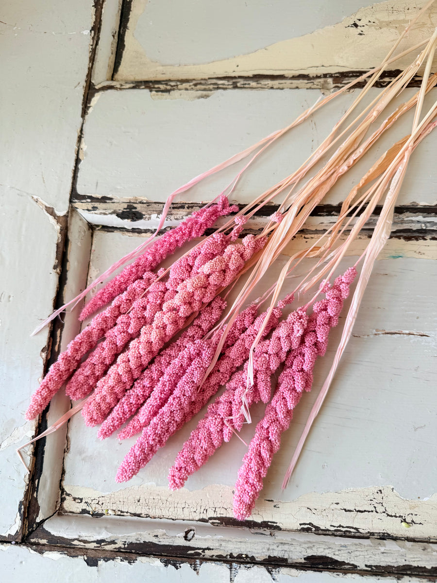 Dried Setaria / Foxtail Millet