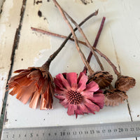 Dried Protea Repens