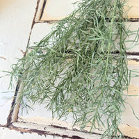 Naturally Dried Emu Grass - natural dusty green