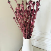 Outlet & Sample [flower stems / greenery]