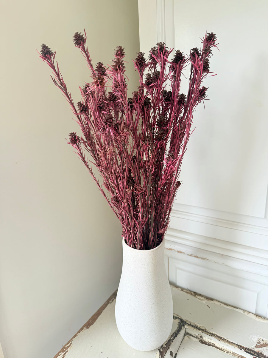 Outlet & Sample [flower stems / greenery]
