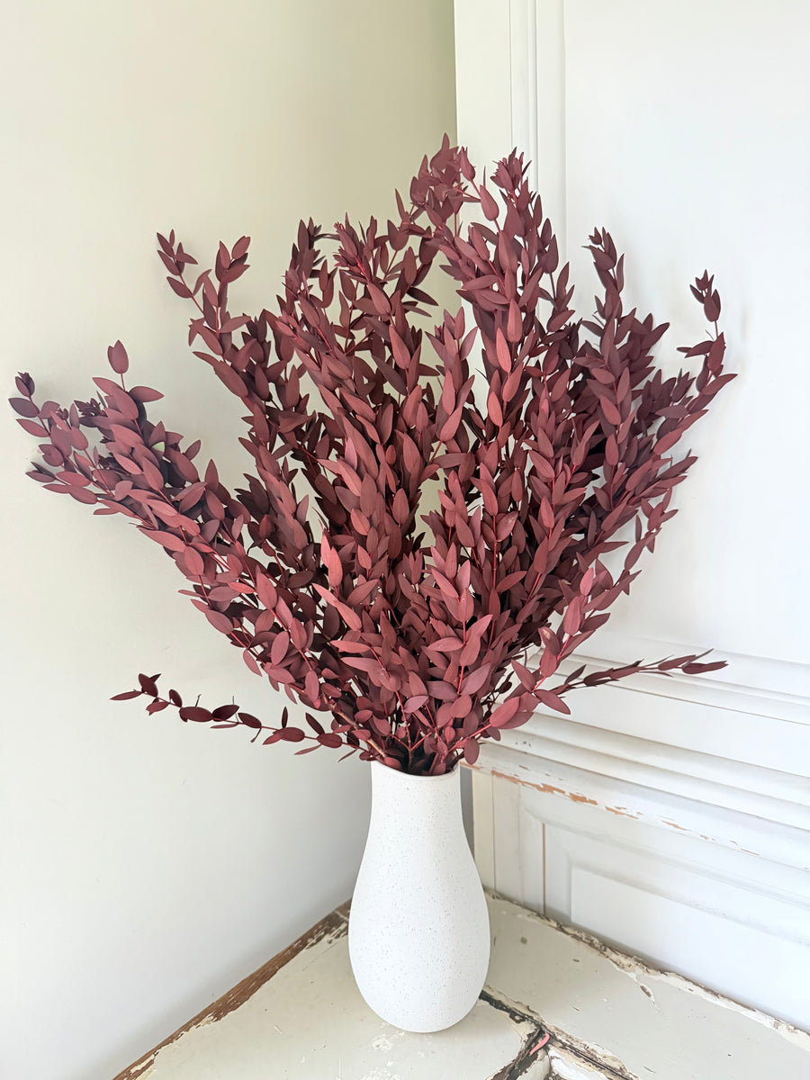 Preserved Eucalyptus / Gum