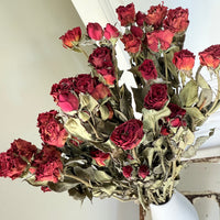 Naturally Dried Rose