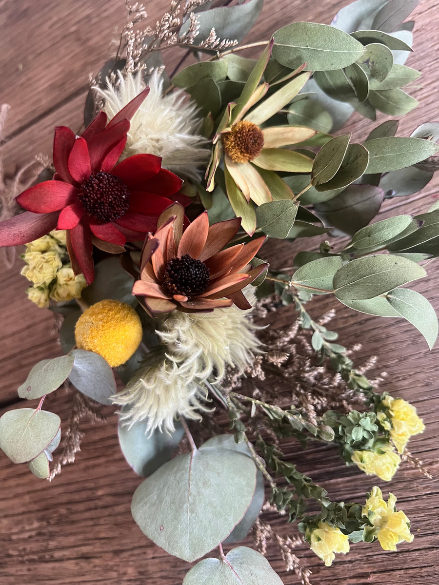 Leucadendron Sunshine Bouquet [Mini/SM/M] native