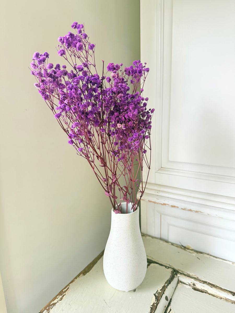 Preserved Baby's Breath
