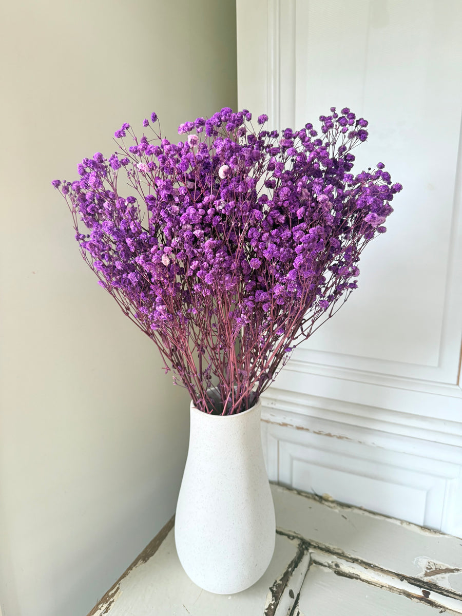 Preserved Baby's Breath