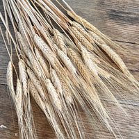 Naturally Dried Wheat