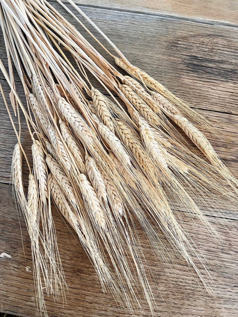 Naturally Dried Wheat