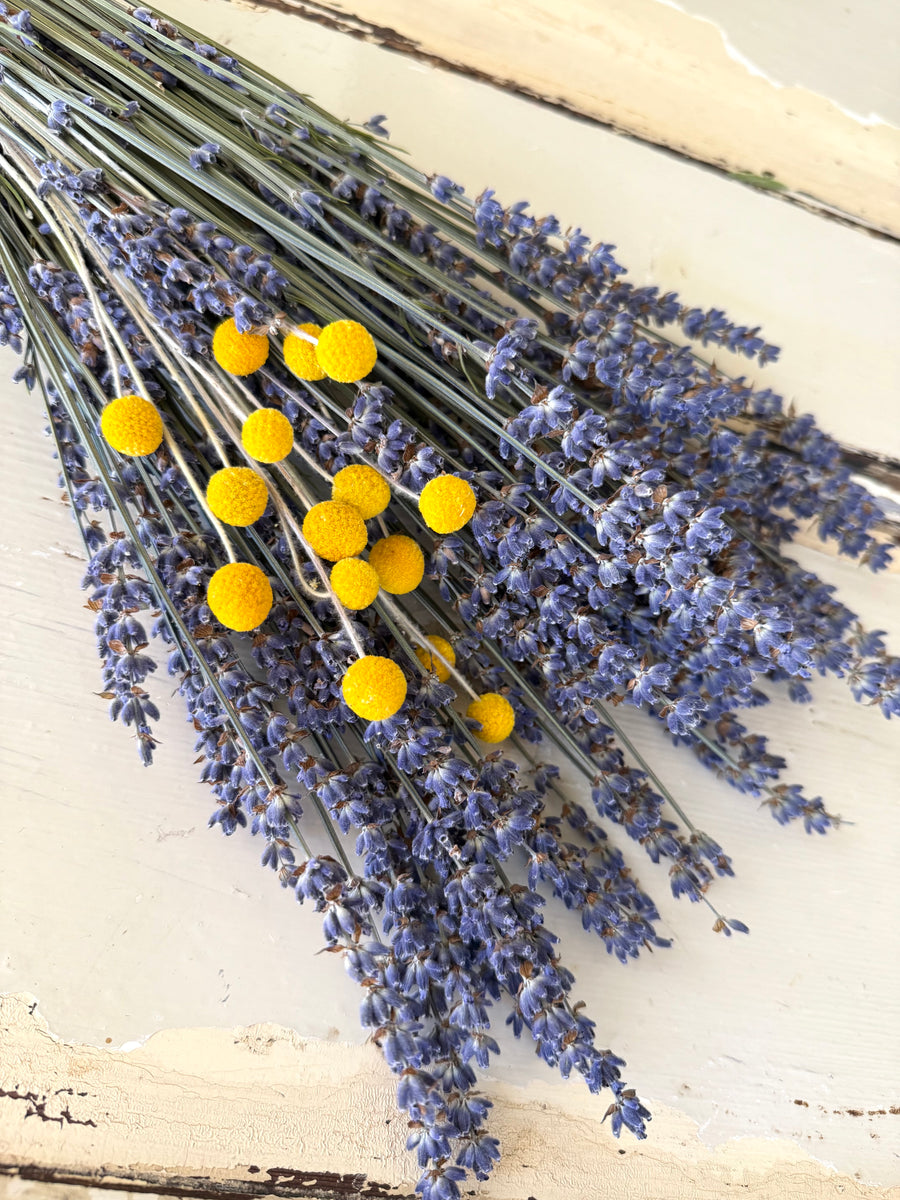 Dried Lavender Garden Bouquet - blue purple