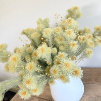 Butter Field Vase arrangement [2weekdays dispatch / L / All Around]