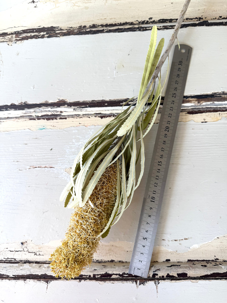 Naturally Dried Banksia & King Protea & Protea - Australian Native