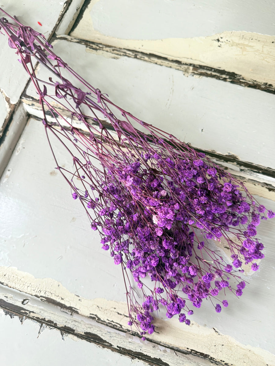 Preserved Baby's Breath