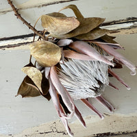 Naturally Dried Banksia & King Protea & Protea - Australian Native