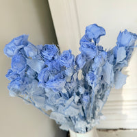 　[Colourful] Outlet & Samples